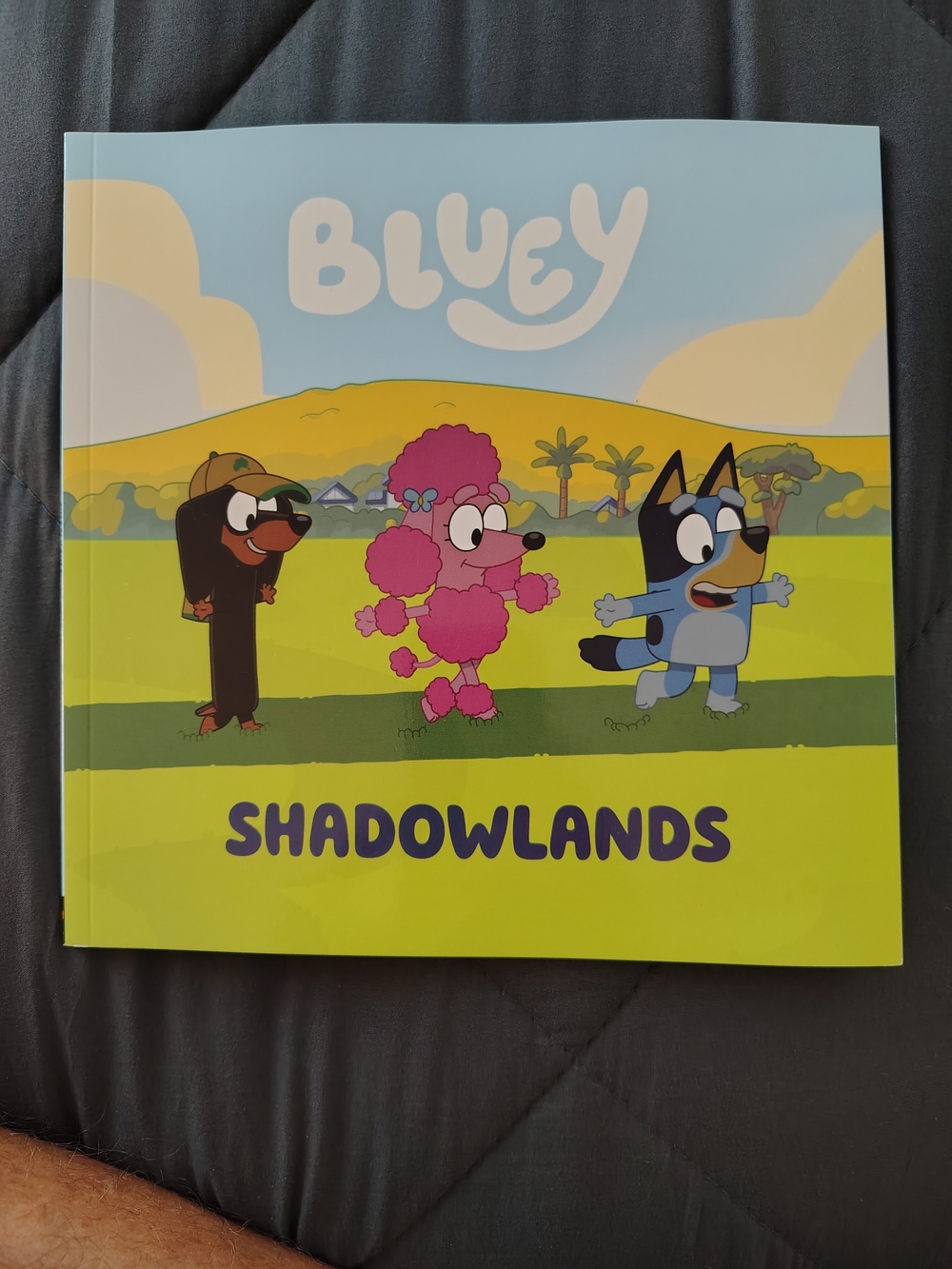 Bluey 12 Days of Christmas ,Shadowlands,Unicours & Bi-lingual Swim Course - Picture 2 of 4